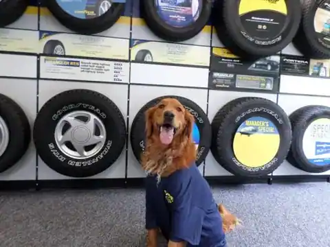 Auto repair in Brattleboro, VT
