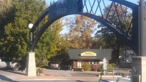 Mini Coach Inc in Bell