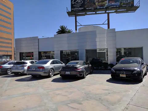 Beverly Hills Auto Body in Beverly Hills