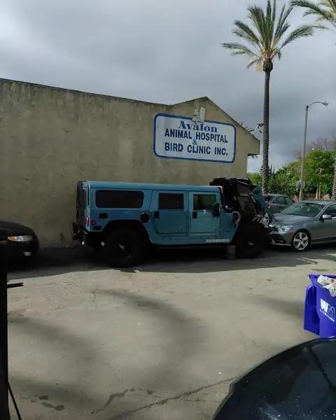 S & K Auto Body in Carson