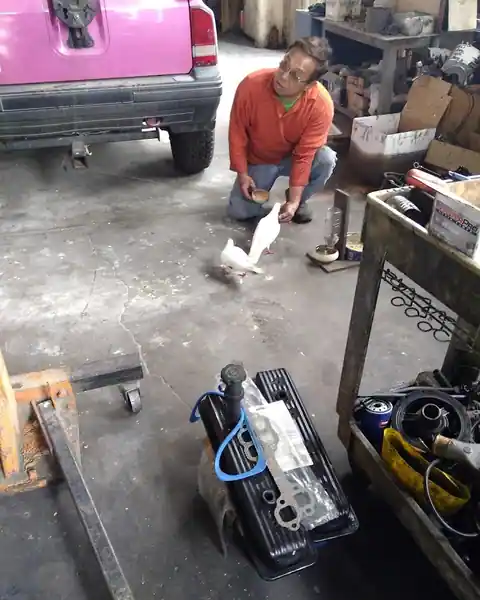 Locky's Service Garage in Highland