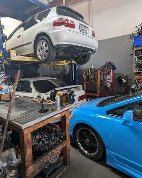 Import life Performance in Lakewood