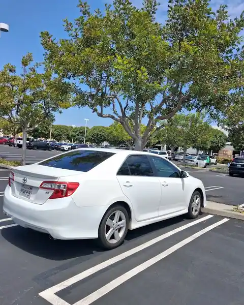 Pacific Shoreline Auto Glass in Santa Monica