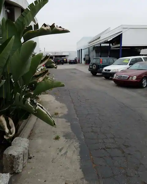 Kimse's Auto in South El Monte