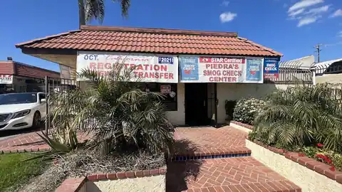 Piedra's Smog Test Only in Walnut