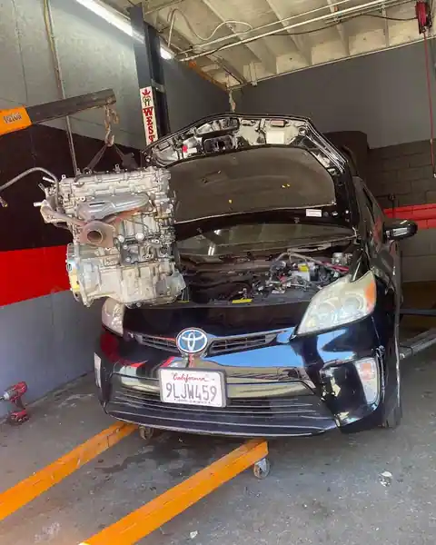 LOYALS Auto Repair in Winnetka