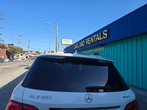 GLASS MONKEY in Alameda