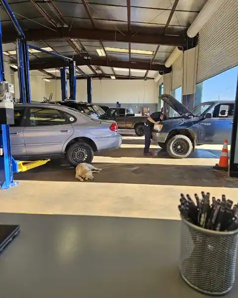 Rocha’s Auto Service in Anderson