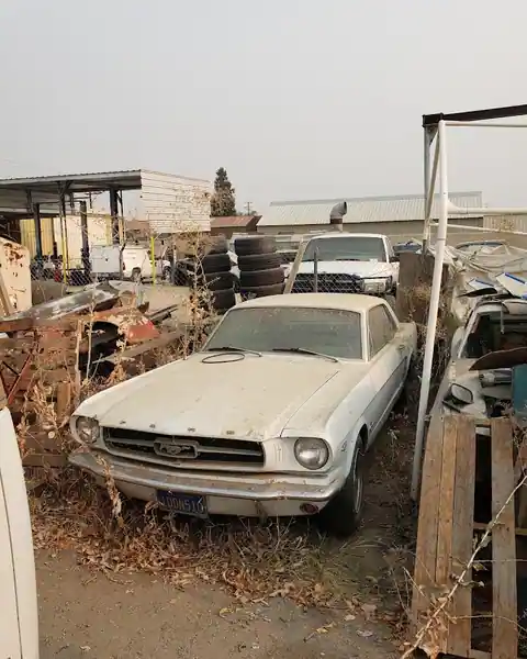 Skinny's Automotive in Bakersfield