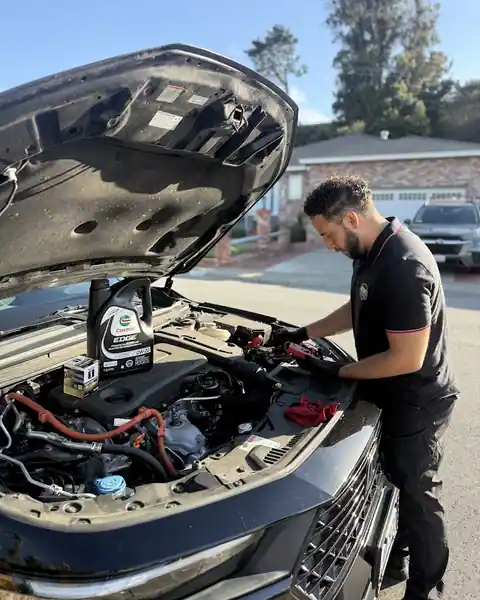 AutoNest Mobile Auto Care in Belvedere Tiburon