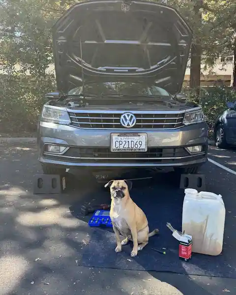 A to Z Mechanics in East Palo Alto