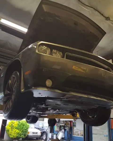 Cat's Automotive Repair in Fremont