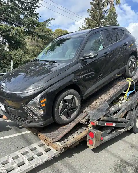 Omega Automotive in Fremont