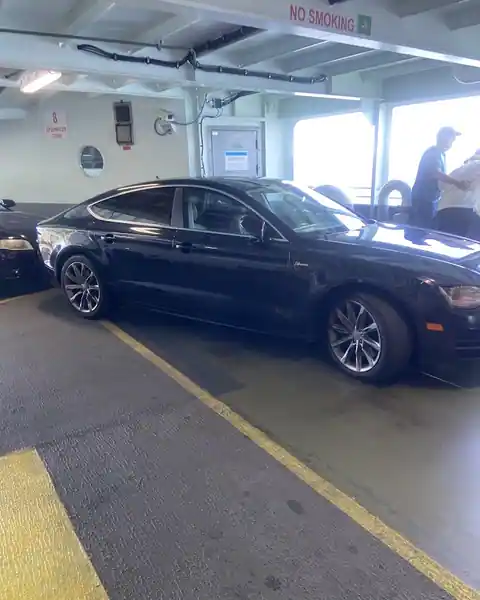 Auto Dynamics in Jackson