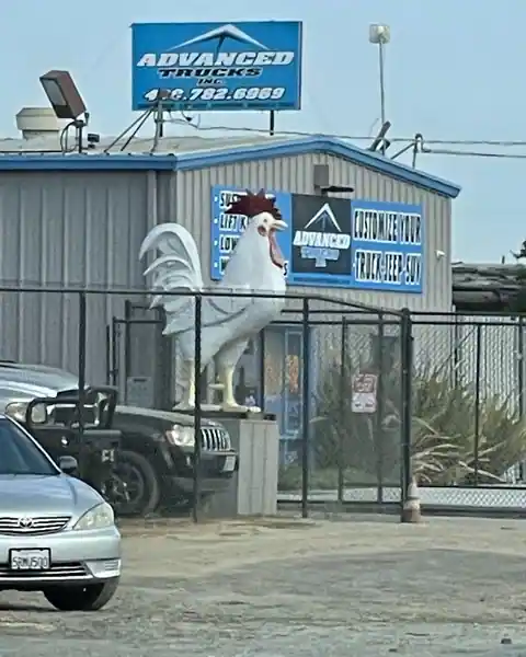 Advanced Trucks Inc in Morgan Hill