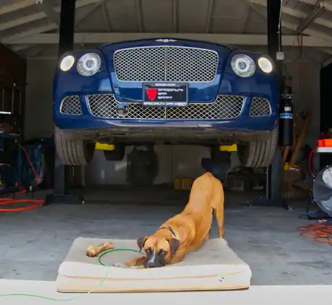 Hollywood Mechanic in Newbury Park