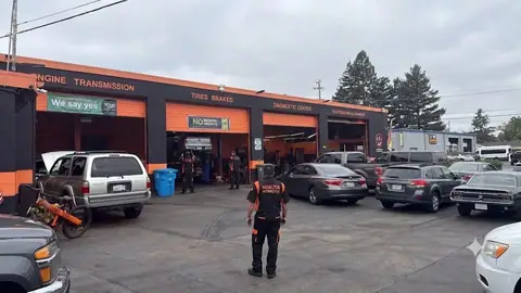 Hamiltons Automotive Inc in Novato