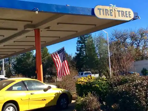 The Tire Tree in Redding