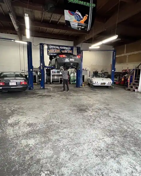Alpha and omega Repair in San Jose