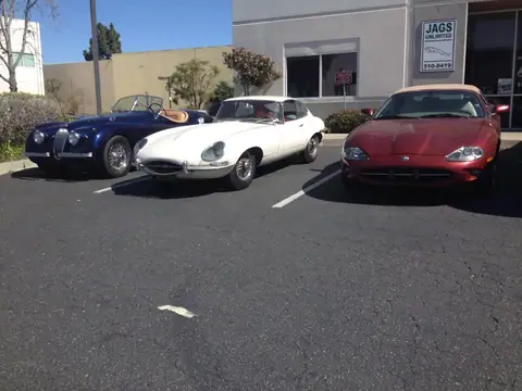 Jags Unlimited in San Marcos
