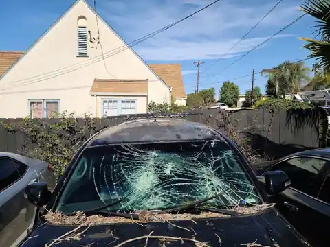 TLC Auto Body in San Marcos