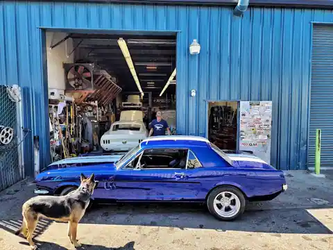 Mustang Fever in Santa Clara