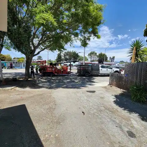 Sports Car Performance in Santa Cruz