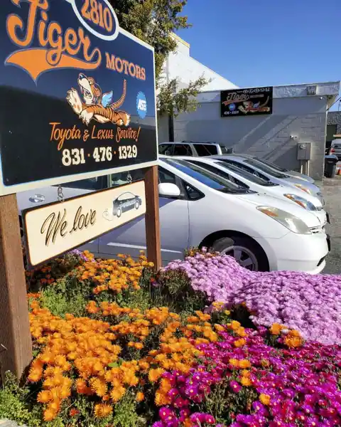 Tiger Motors Inc in Santa Cruz