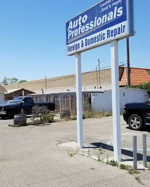 Auto Professionals in Santa Maria