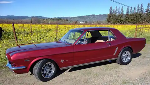 Daniele's Classic Auto Body in Sonoma