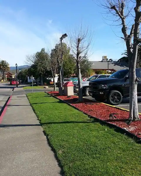 Steve's Smog & Auto in Sonoma