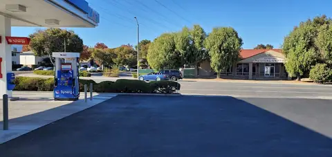 Sunnyvale Auto Service in Sunnyvale