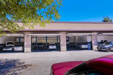 Rovers Elite in Thousand Oaks