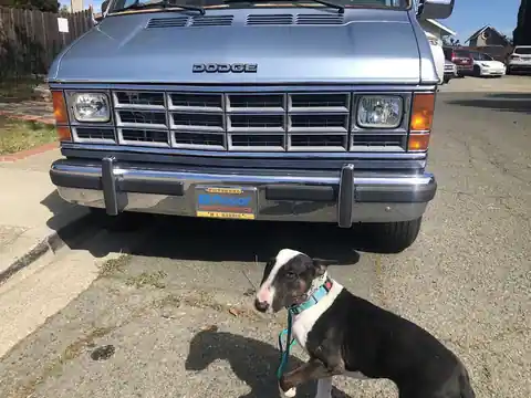 Pro Auto Care in Vallejo