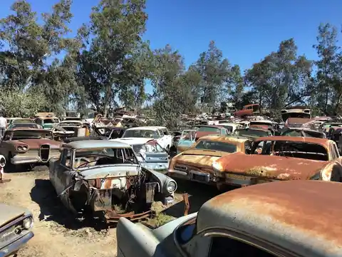 Big M Automotive in Williams