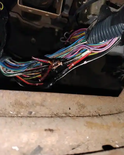 Specialty Auto Repair LLC in Arvada