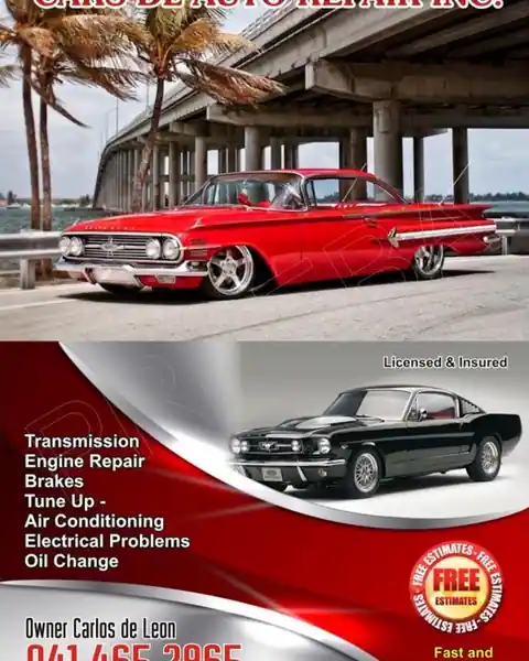 Cars Dl auto repair INC in Bradenton
