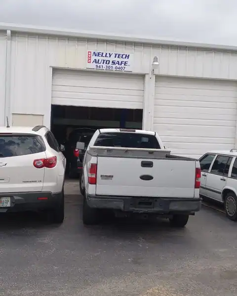 Nelly tech Auto Safe LLC in Bradenton