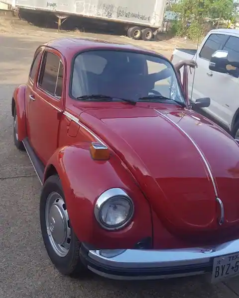 Bug Clinic in Bryan