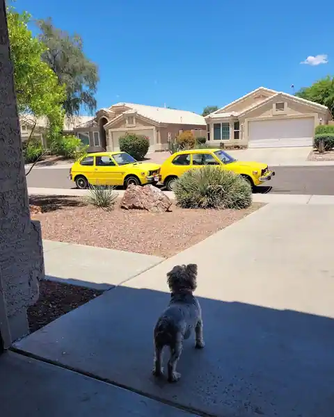 Future Service Automotive in Chandler