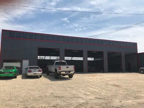 Dougies Automotive, LLC in Hearne