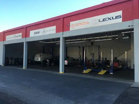 Cactus Imports in Phoenix