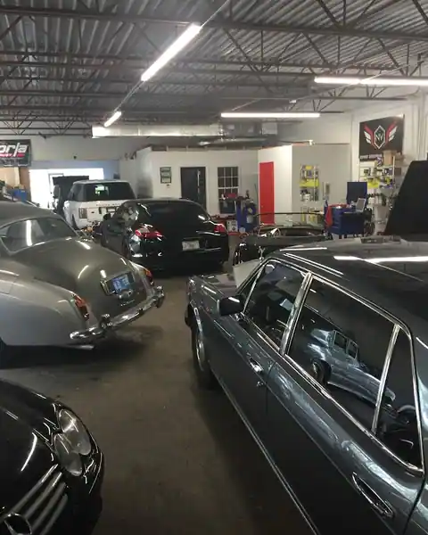 NV Expert European Auto Repair in Sarasota