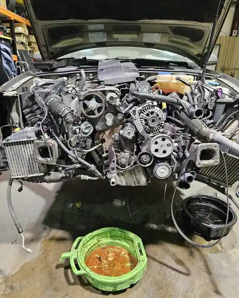 My Favorite Mechanic in Spring
