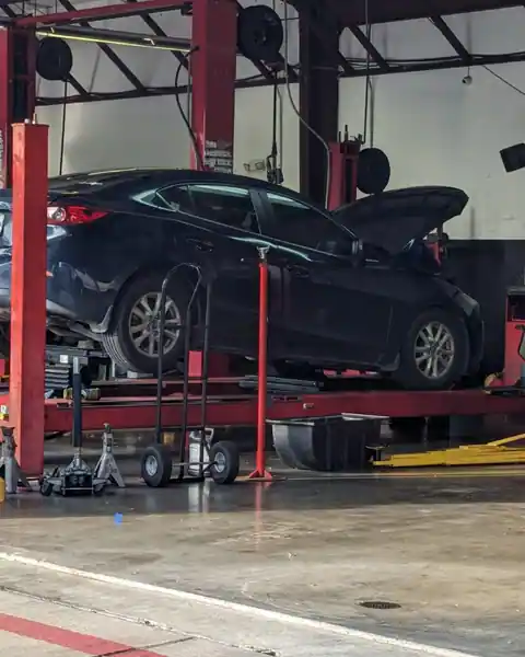Mike Tate’s Telfair Tire & Auto in Sugar Land