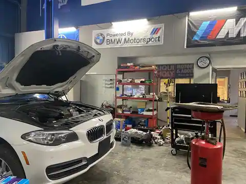 DK European Services & Repairs in Valrico